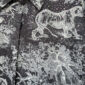 Damen Zweiteiler Animal Print mit Strass Großhandel in Schwarz