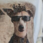 Damen Oversize Shirt mit Hunde Strass in Weiß